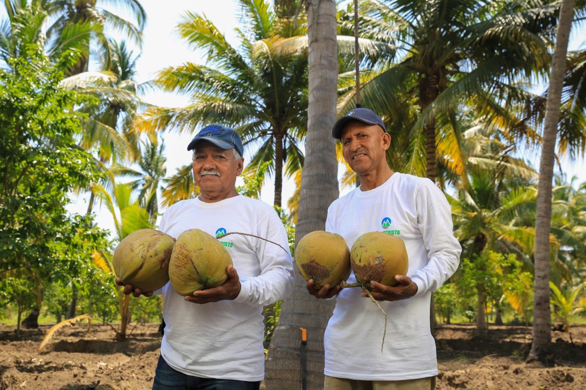 Trabajadores de campo de Grupo Montecristo en el rancho